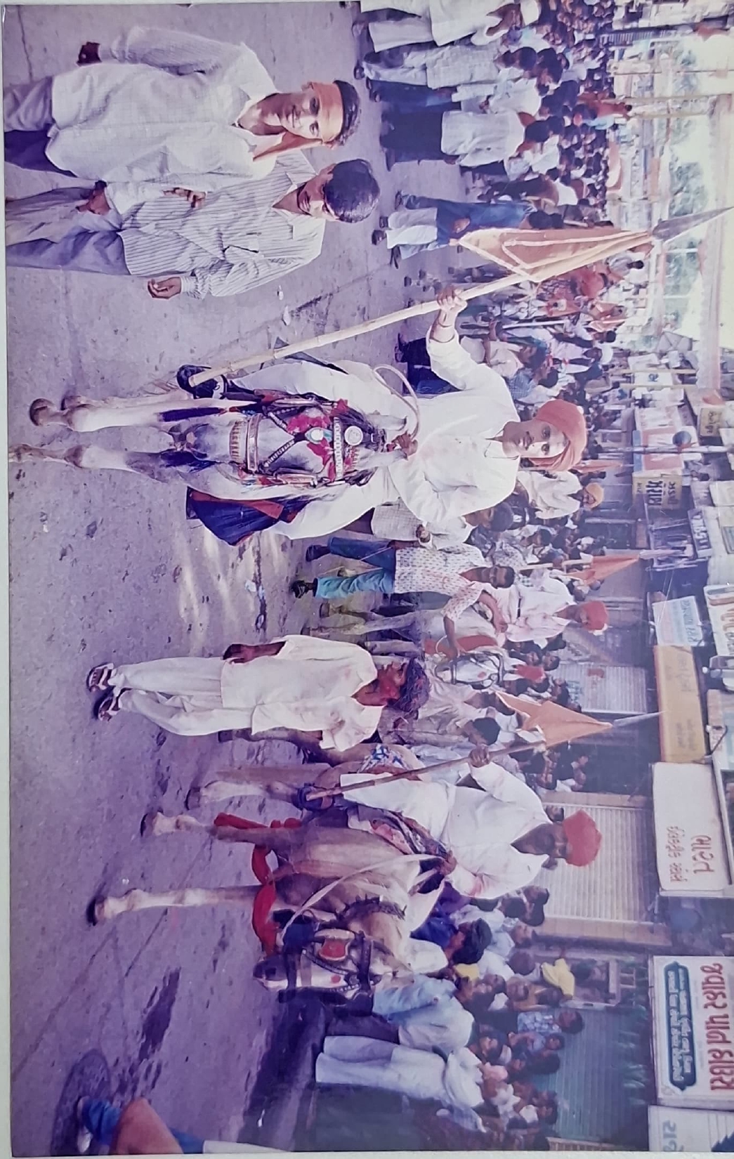 Gallery image 7