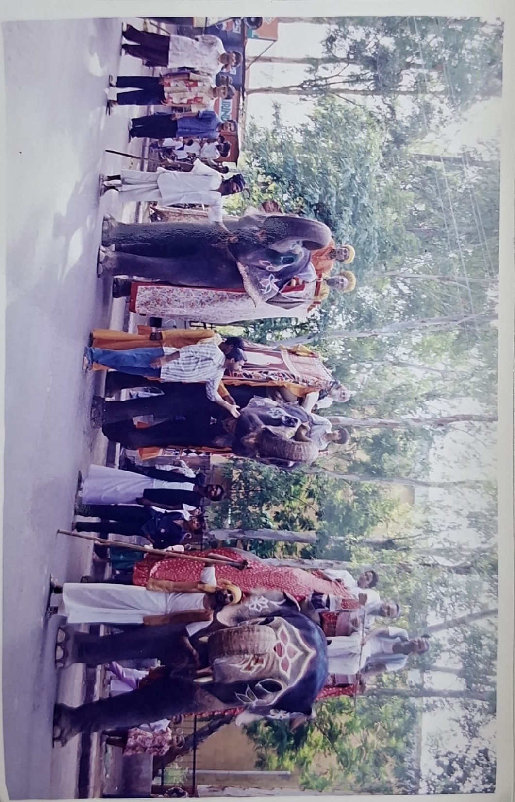 Gallery image 7